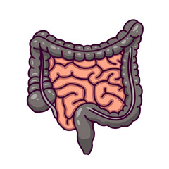 Human intestines in cartoon style. Human digestive system. Human intestines icon or logo for medicine. Isolated on white background there is a place for an inscription