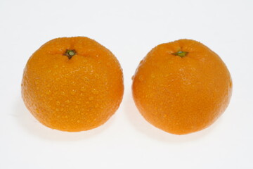 ミカン　佐賀県多良町産　秀島みかん