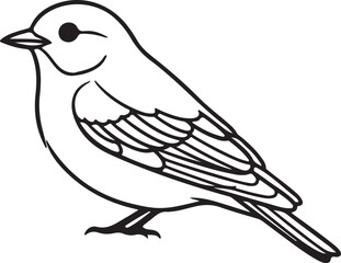 Fototapeta premium Minimalist Black and White Ping Bird Icon – Stylized Line Art for Nature, Education, and Design Projects