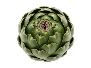 Obraz premium Isolated artichoke vegetable ready to cook a delicious seasonal vegan dish or salad