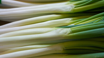 Stacked Green Onions in a Vegetable Store