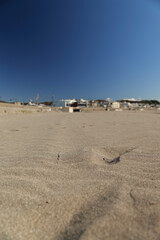 砂に刻まれた冬の足跡