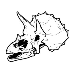 Illustration of a Triceratops dinosaur skull on a white background. Illustration in the style of hand-drawn ink.