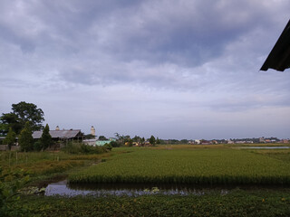 Obraz premium Rural landscape with green agricultural fields under a cloudy sky.