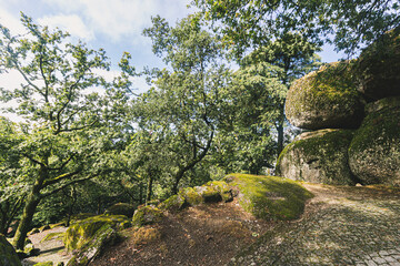 Mossy Forest Path and Ancient Granite Boulders