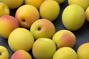 Yellow ripe small ume fruits (after harvest)