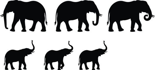 Large Vector Collection of Powerful Eagle and Hawk Bird Silhouettes in Various Poses, including Flying, Gliding, and Perching, Perfect for Wildlife Vector Illustrations and Outdoors Graphics