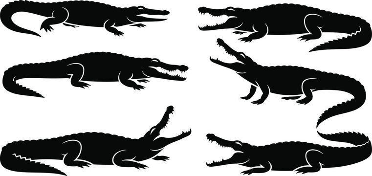 Six black alligator silhouettes in various poses on a white background crocodile reptile
