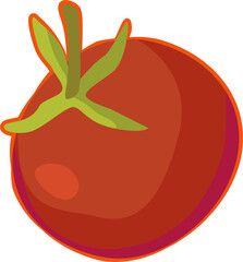 Illustration of tomato