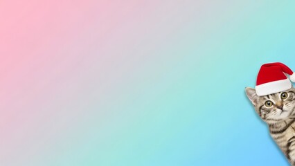 Cute Kitten Wearing Santa Hat Peeking from Corner, Christmas Holiday Theme