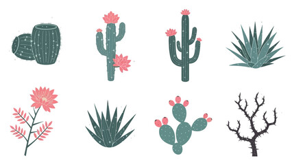 Stylized desert cacti and succulent illustrations in a modern flat design style with minimal color