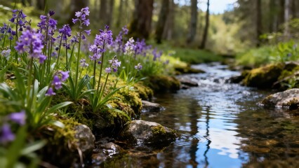 Lush purple bluebell wildflowers line the mossy bank of a crystal clear stream flowing through a sunlit temperate forest.