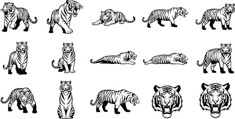 Collection of black and white tiger illustrations in various poses