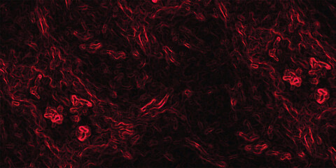 Abstract textured background with glowing red organic lines and dark deep shadows creating a sense of depth and mystery