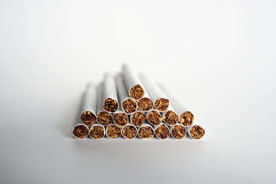 deadwood tobacco company fat bottom betty Deadwood Tobacco Co. Fat Bottom Betty Gordito