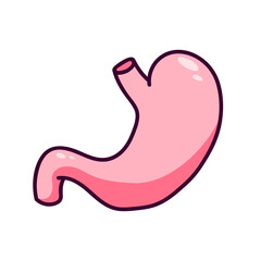Healthy human stomach icon.  Human stomach in cartoon style.  Can be used as an icon or logo in medicine. Isolated on white background, there is a place for an inscription