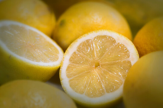 Zitronen Zitrusfrucht, reife Fr&uuml;chte 