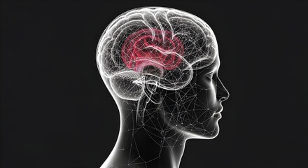 Obraz premium Transparent human head profile with glowing red brain area representing neurological activity or medical condition isolated on dark background