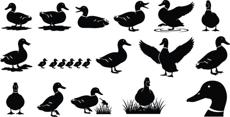 Collection of various duck silhouettes and postures