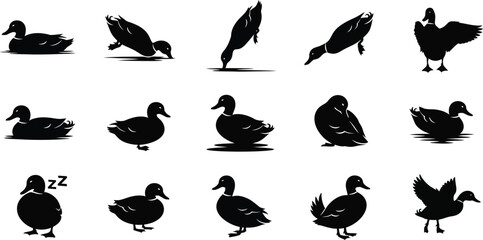 Collection of black silhouette ducks in various poses
