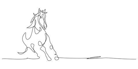 horse run one line drawing continuous minimalism