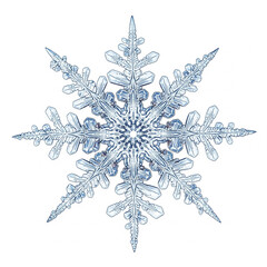 Macro photograph of a delicate, crystalline snowflake with intricate fractal patterns against a pure white background, showcasing winter's icy art
