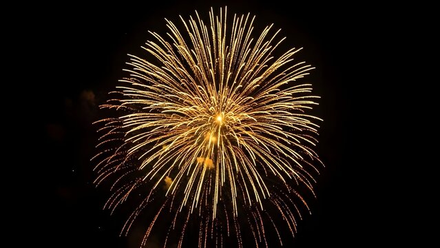 Spectacular golden firework explosion illuminating a dark night sky with vibrant light trails - Powered by Adobe
