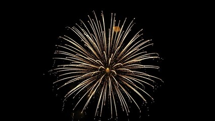 Spectacular burst of golden fireworks illuminating the night sky with vibrant trails