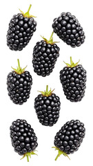 Fresh blackberries floating arrangement isolated on transparent background