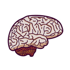 Human brain icon or logo.  Human brain in cartoon style.  Isolated on white background, there is a place for an inscription