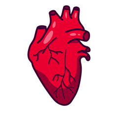 Human heart icon on gray circle.  The main organ of the circulatory system.  Heart in cartoon style.  Isolated on white background there is a place for an inscription