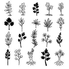 A versatile vector collection of hand-drawn rough brush stroke botanical doodles, featuring a variety of plant elements, leaves, and organic nature illustrations