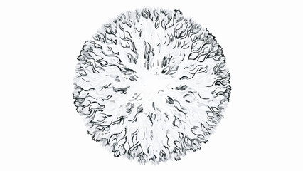 Abstract Black and White Circular Organic Fractal Pattern Illustration Isolated on White Background