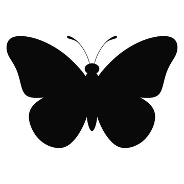 Elegant Butterfly Silhouette Vector Illustration
