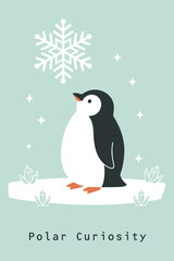 Cute cartoon penguin standing on a small ice floe looking up at a large snowflake and surrounding ice crystals in a cold polar vector design.