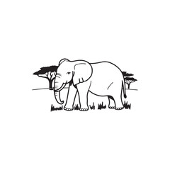  Elephant in African Savanna