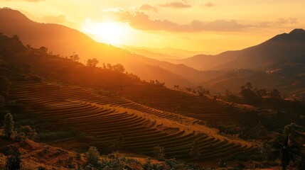 Golden Sunset Over Terraced Rice Fields And Mountains