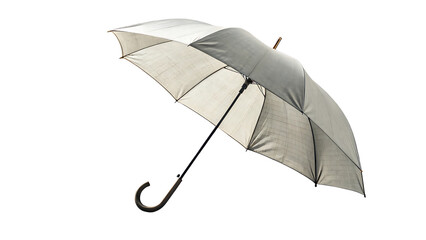 Umbrella: A light umbrella against the inclement weather, its canopy extended to provide shelter.