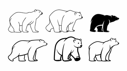 Bear Poses Collection Vector Illustration