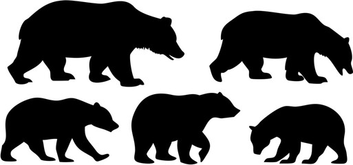 Bear Poses Collection Vector Illustration