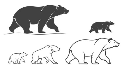 Bear Poses Collection Vector Illustration