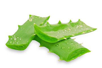 Fresh aloe vera leaves with water drops isolated on transparent  background in close-up