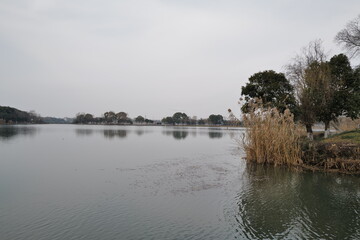 Obraz premium reflection of trees in the lake