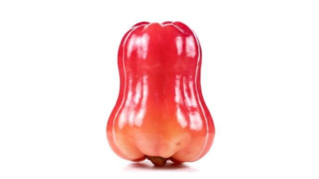 Vibrant Red Wax Apple (Jambu) Fruit Isolated on a Clean White Studio Background