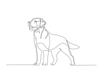 Single Continuous Line Drawing of adorable labrador retriever dog. Domestic Animal.