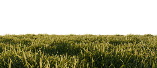 Hills with grass on a transparent background. 3D rendering.	