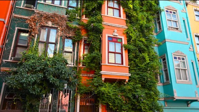 Istanbul, Turkey, August 1, 2025. Exploring the colorful facades of the historic Balat neighborhood. Iconic in their vibrant colors, with climbing plants blowing in the wind. A beautiful summer day.