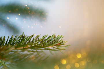 Close-up of fresh fir tree needles with natural soft focus and gentle light. Ideal for Christmas backgrounds, holiday themes, winter mood, nature textures, and seasonal designs.