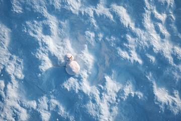 雪原に小さな雪だるまがある俯瞰写真