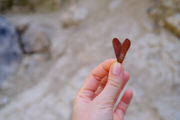 hand holding a leaf